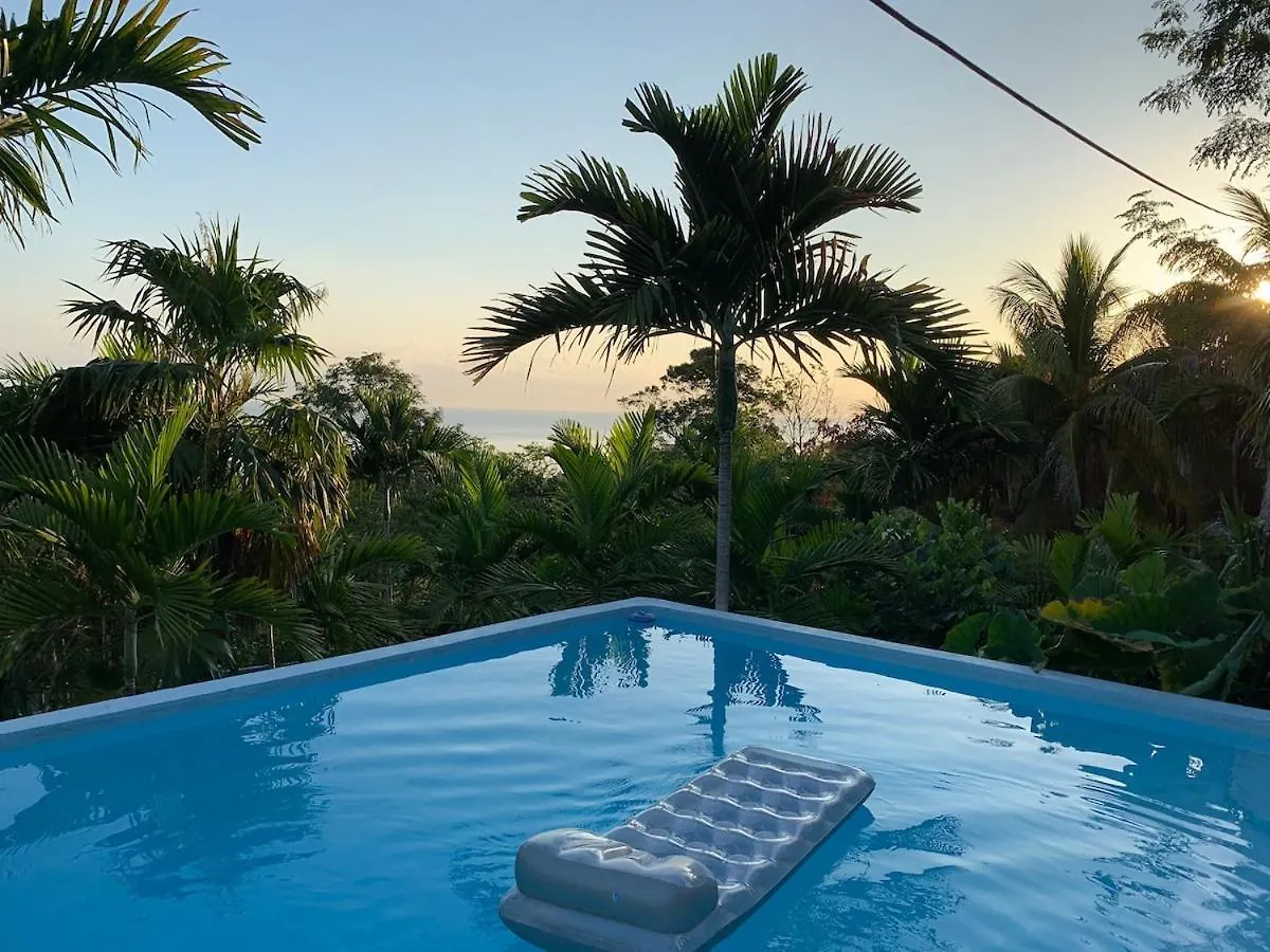 Casa vacanze The Coconut Palm Villa- With Wifi And Pool Ocho Rios Giamaica
