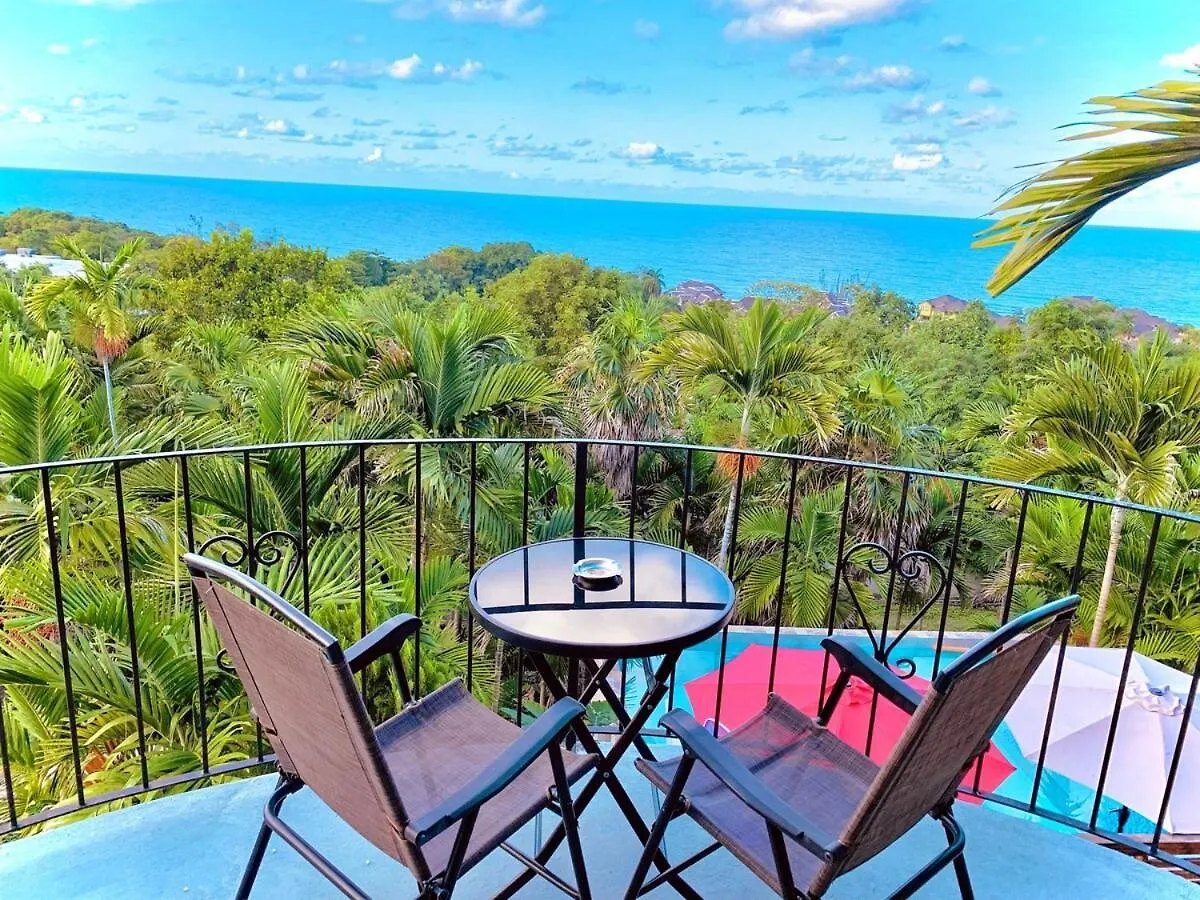 The Coconut Palm Villa- With Wifi And Pool Ocho Rios