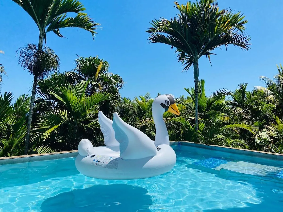 The Coconut Palm Villa- With Wifi And Pool Ocho Rios 0*,