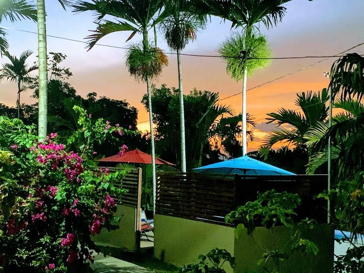 The Coconut Palm Villa- With Wifi And Pool Ocho Rios Casa vacanze