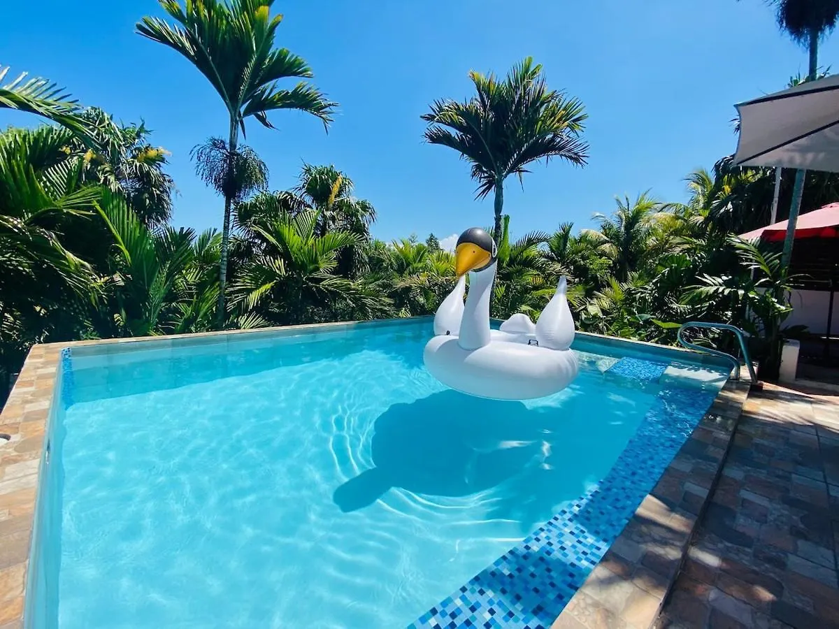 The Coconut Palm Villa- With Wifi And Pool Ocho Rios Casa vacanze