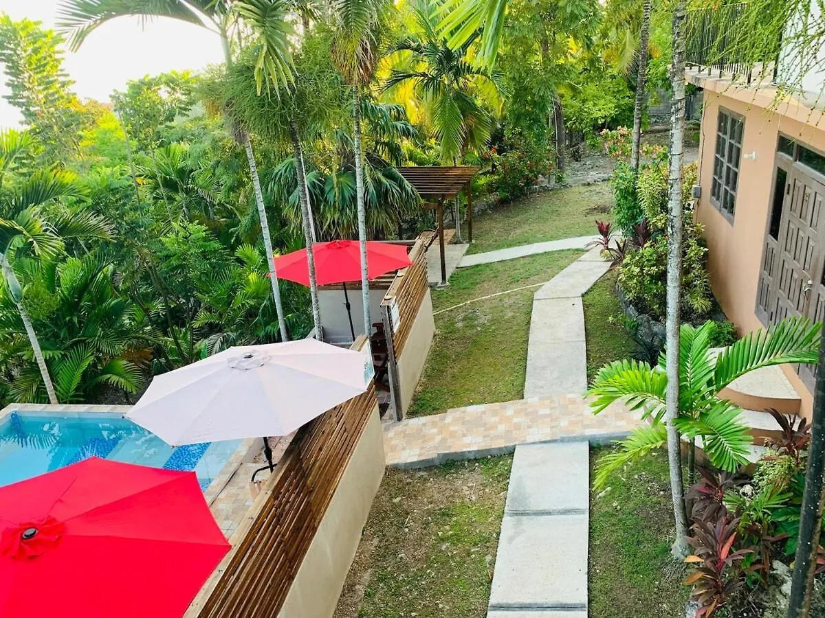 The Coconut Palm Villa- With Wifi And Pool Ocho Rios 0*,