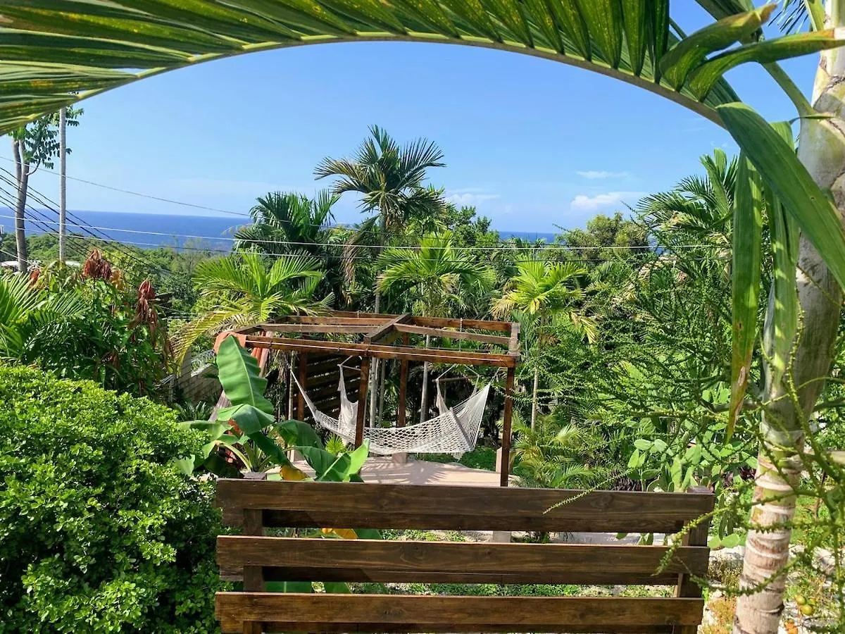 The Coconut Palm Villa- With Wifi And Pool Ocho Rios