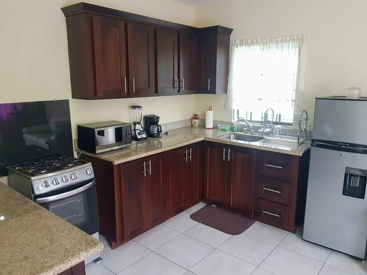 The Coconut Palm Villa- With Wifi And Pool 奥乔里奥斯 0*,  牙买加